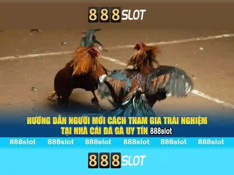 888 com slot - Tổng quan và trải nghiệm