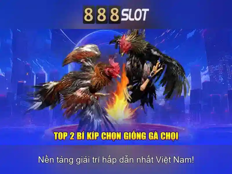 star 888 slot: Trải nghiệm đỉnh cao và thương hiệu